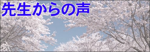 先生からの声
